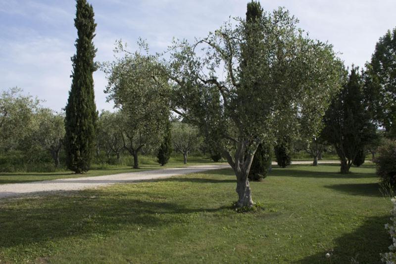Agriturismo Scuderie Della Contea Sutri Luaran gambar