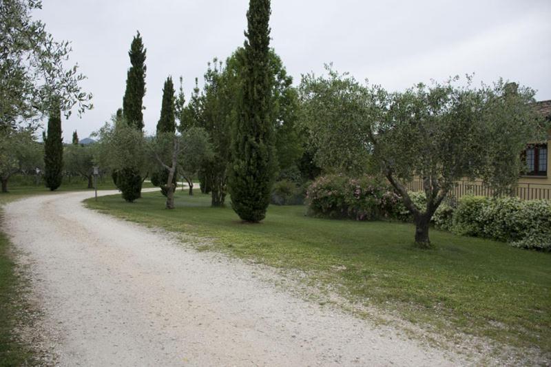 Agriturismo Scuderie Della Contea Sutri Luaran gambar