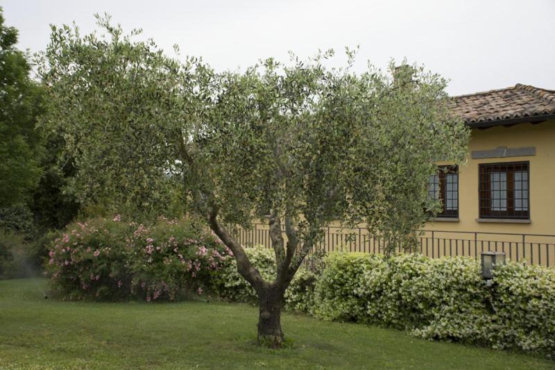 Agriturismo Scuderie Della Contea Sutri Luaran gambar